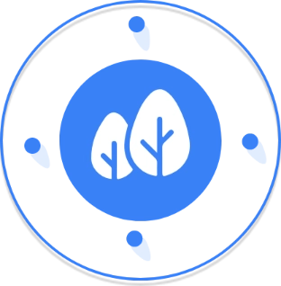 Google Service Ecology