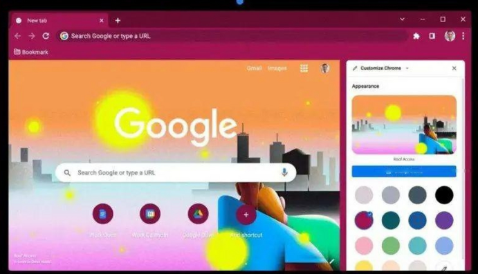 google浏览器下载完成后插件预配置与管理教程
