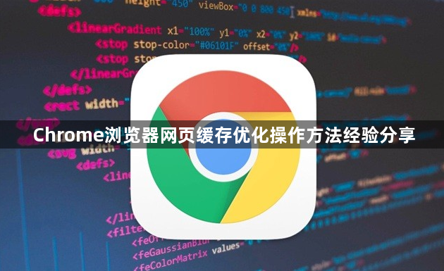 Chrome浏览器网页缓存优化操作方法经验分享1
