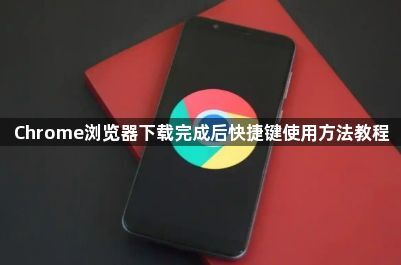 Chrome浏览器下载完成后快捷键使用方法教程1