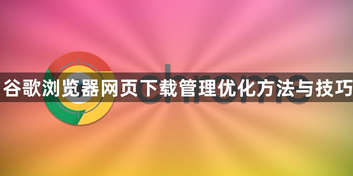 谷歌浏览器网页下载管理优化方法与技巧1