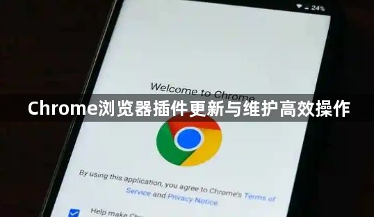 Chrome浏览器插件更新与维护高效操作1
