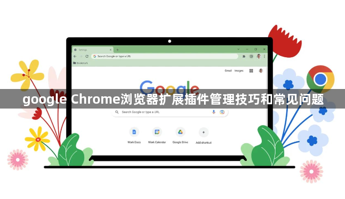 google Chrome浏览器扩展插件管理技巧和常见问题1